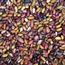Photo: N Palmer/CIAT Beans N.Palmer CIAT-square-65