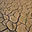 Photo: N Palmer/CIAT Cracked-earth N-Palmer CIAT-square-65