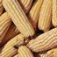 Photo: N Palmer/CIAT Maize N.Palmer CIAT-square-65