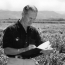 borlaug-square