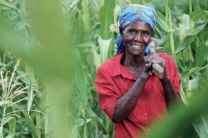 A Kenyan farmer in her maize field.