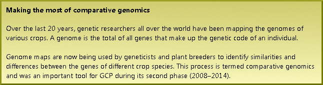 Making the most of comparative genomics Over the last 20 years, genetic researchers all over the world have been mapping the genomes of various crops. A genome is the total of all genes that make up the genetic code of an individual. Genome maps are now being used by geneticists and plant breeders to identify similarities and differences between the genes of different crop species. This process is termed comparative genomics and was an important tool for GCP during its second phase (2008–2014).