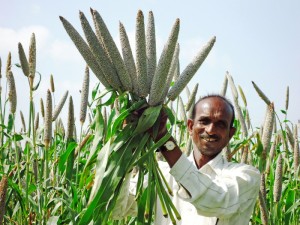 Photo: AS Rao/ICRISAT