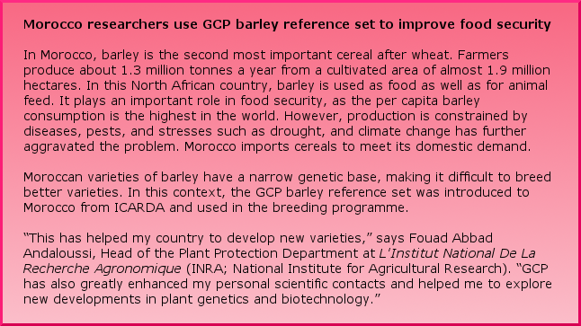 Morocco researchers use GCP barley reference set to improve food security In Morocco, barley is the second most important cereal after wheat. Farmers produce about 1.3 million tonnes a year from a cultivated area of almost 1.9 million hectares. In this North African country, barley is used as food as well as for animal feed. It plays an important role in food security, as the per capita barley consumption is the highest in the world. However, production is constrained by diseases, pests, and stresses such as drought, and climate change has further aggravated the problem. Morocco imports cereals to meet its domestic demand.  Moroccan varieties of barley have a narrow genetic base, making it difficult to breed better varieties. In this context, the GCP barley reference set was introduced to Morocco from ICARDA and used in the breeding programme. “This has helped my country to develop new varieties,” says Fouad Abbad Andaloussi, Head of the Plant Protection Department at L'Institut National De La Recherche Agronomique (INRA; National Institute for Agricultural Research). “GCP has also greatly enhanced my personal scientific contacts and helped me to explore new developments in plant genetics and biotechnology.” 
