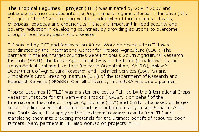 The Tropical Legumes I project (TLI) was initiated by GCP in 2007 and subsequently incorporated into the Programme’s Legumes Research Initiative (RI). The goal of the RI was to improve the productivity of four legumes – beans, chickpeas, cowpeas and groundnuts – that are important in food security and poverty reduction in developing countries, by providing solutions to overcome drought, poor soils, pests and diseases. TLI was led by GCP and focussed on Africa. Work on beans within TLI was coordinated by the International Center for Tropical Agriculture (CIAT). The partners in the four target countries were Ethiopia’s South Agricultural Research Institute (SARI), the Kenya Agricultural Research Institute (now known as the Kenya Agricultural and Livestock Research Organization, KALRO), Malawi’s Department of Agricultural Research and Technical Services (DARTS) and Zimbabwe’s Crop Breeding Institute (CBI) of the Department of Research and Specialist Services (DR&SS). Cornell University in the USA was also a partner. Tropical Legumes II (TLII) was a sister project to TLI, led by the International Crops Research Institute for the Semi-Arid Tropics (ICRISAT) on behalf of the International Institute of Tropical Agriculture (IITA) and CIAT. It focussed on large-scale breeding, seed multiplication and distribution primarily in sub-Saharan Africa and South Asia, thus applying the ‘upstream’ research results from TLI and translating them into breeding materials for the ultimate benefit of resource-poor farmers. Many partners in TLI also worked on projects in TLII.
