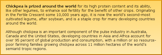 Chickpea is prized around the world for its high protein content and its ability, like other legumes, to enhance soil fertility for the benefit of other crops. Originating in the Fertile Crescent some 10,000 years ago, it is now considered the world’s second-most cultivated legume, after soybean, and is a staple crop for many developing countries around the world. Although chickpea is an important component of the pulse industry in Australia, Canada and the United States, developing countries in Asia and Africa account for over 95 percent of global production and consumption, with a million or so resource-poor farming families growing chickpea across 11 million hectares of the world’s semiarid tropic regions. Chickpea is prized around the world for its high protein content and its ability, like other legumes, to enhance soil fertility for the benefit of other crops. Originating in the Fertile Crescent some 10,000 years ago, it is now considered the world’s second-most cultivated legume, after soybean, and is a staple crop for many developing countries around the world. Although chickpea is an important component of the pulse industry in Australia, Canada and the United States, developing countries in Asia and Africa account for over 95 percent of global production and consumption, with a million or so resource-poor farming families growing chickpea across 11 million hectares of the world’s semiarid tropic regions.