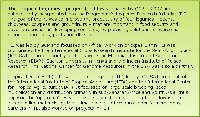 The Tropical Legumes I project (TLI) was initiated by GCP in 2007 and subsequently incorporated into the Programme’s Legumes Research Initiative (RI). The goal of the RI was to improve the productivity of four legumes – beans, chickpeas, cowpeas and groundnuts – that are important in food security and poverty reduction in developing countries, by providing solutions to overcome drought, poor soils, pests and diseases. TLI was led by GCP and focussed on Africa. Work on chickpea within TLI was coordinated by the International Crops Research Institute for the Semi-Arid Tropics (ICRISAT). Target-country partners were the Ethiopian Institute of Agricultural Research (EIAR), Egerton University in Kenya and the Indian Institute of Pulses Research. The National Center for Genome Resources in the USA was also a partner. Tropical Legumes II (TLII) was a sister project to TLI, led by ICRISAT on behalf of the International Institute of Tropical Agriculture (IITA) and the International Center for Tropical Agriculture (CIAT). It focussed on large-scale breeding, seed multiplication and distribution primarily in sub-Saharan Africa and South Asia, thus applying the ‘upstream’ research results from TLI and filtering them downstream into breeding materials for the ultimate benefit of resource-poor farmers. Many partners in TLI also worked on projects in TLII. The Tropical Legumes I project (TLI) was initiated by GCP in 2007 and subsequently incorporated into the Programme’s Legumes Research Initiative (RI). The goal of the RI was to improve the productivity of four legumes – beans, chickpeas, cowpeas and groundnuts – that are important in food security and poverty reduction in developing countries, by providing solutions to overcome drought, poor soils, pests and diseases. TLI was led by GCP and focussed on Africa. Work on chickpea within TLI was coordinated by the International Crops Research Institute for the Semi-Arid Tropics (ICRISAT). Target-country partners were the Ethiopian Institute of Agricultural Research (EIAR), Egerton University in Kenya and the Indian Institute of Pulses Research. The National Center for Genome Resources in the USA was also a partner. Tropical Legumes II (TLII) was a sister project to TLI, led by ICRISAT on behalf of the International Institute of Tropical Agriculture (IITA) and the International Center for Tropical Agriculture (CIAT). It focussed on large-scale breeding, seed multiplication and distribution primarily in sub-Saharan Africa and South Asia, thus applying the ‘upstream’ research results from TLI and filtering them downstream into breeding materials for the ultimate benefit of resource-poor farmers. Many partners in TLI also worked on projects in TLII.
