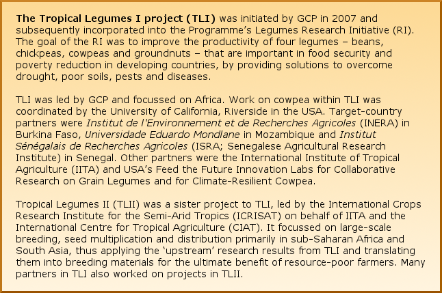 The Tropical Legumes I project (TLI) was initiated by GCP in 2007 and subsequently incorporated into the Programme’s Legumes Research Initiative (RI). The goal of the RI was to improve the productivity of four legumes – beans, chickpeas, cowpeas and groundnuts – that are important in food security and poverty reduction in developing countries, by providing solutions to overcome drought, poor soils, pests and diseases. TLI was led by GCP and focussed on Africa. Work on cowpea within TLI was coordinated by the University of California, Riverside in the USA. Target-country partners were Institut de l’Environnement et de Recherches Agricoles (INERA) in Burkina Faso, Universidade Eduardo Mondlane in Mozambique and Institut Sénégalais de Recherches Agricoles (ISRA; Senegalese Agricultural Research Institute) in Senegal. Other partners were the International Institute of Tropical Agriculture (IITA) and USA’s Feed the Future Innovation Labs for Collaborative Research on Grain Legumes and for Climate-Resilient Cowpea. Tropical Legumes II (TLII) was a sister project to TLI, led by the International Crops Research Institute for the Semi-Arid Tropics (ICRISAT) on behalf of IITA and the International Centre for Tropical Agriculture (CIAT). It focussed on large-scale breeding, seed multiplication and distribution primarily in sub-Saharan Africa and South Asia, thus applying the ‘upstream’ research results from TLI and translating them into breeding materials for the ultimate benefit of resource-poor farmers. Many partners in TLI also worked on projects in TLII.