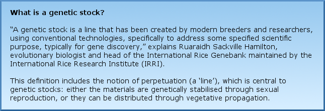 What is a genetic stock? “A genetic stock is a line that has been created by modern breeders and researchers, using conventional technologies, specifically to address some specified scientific purpose, typically for gene discovery,” explains Ruaraidh Sackville Hamilton, evolutionary biologist and head of the International Rice Genebank maintained by the International Rice Research Institute (IRRI). This definition includes the notion of perpetuation (a ‘line’), which is central to genetic stocks: either the materials are genetically stabilised through sexual reproduction, or they can be distributed through vegetative propagation.